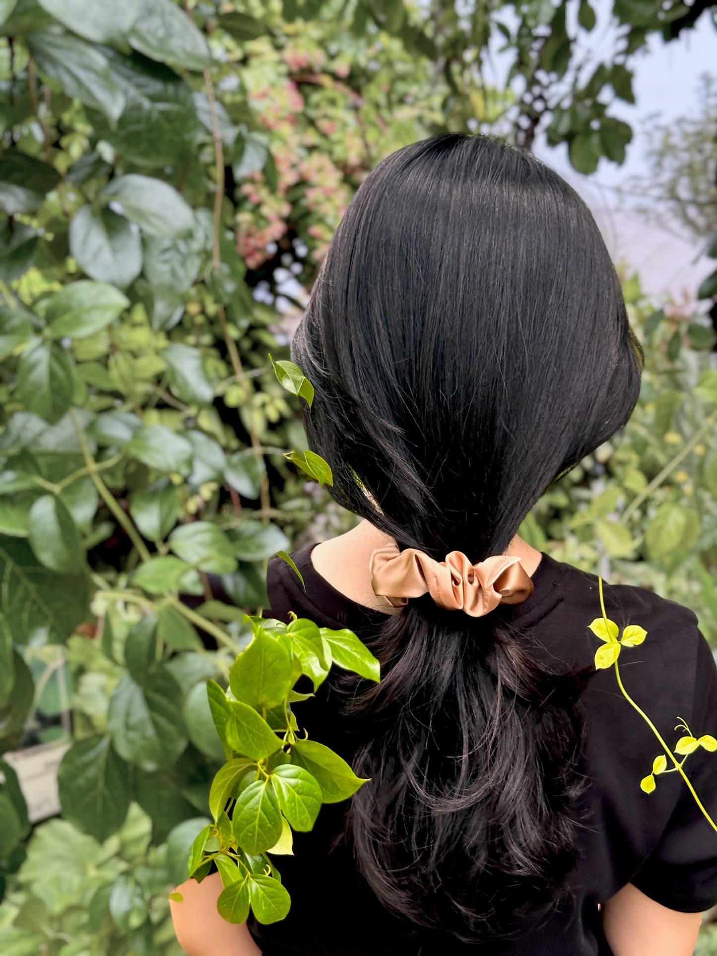 Champagne - Classic Scrunchie